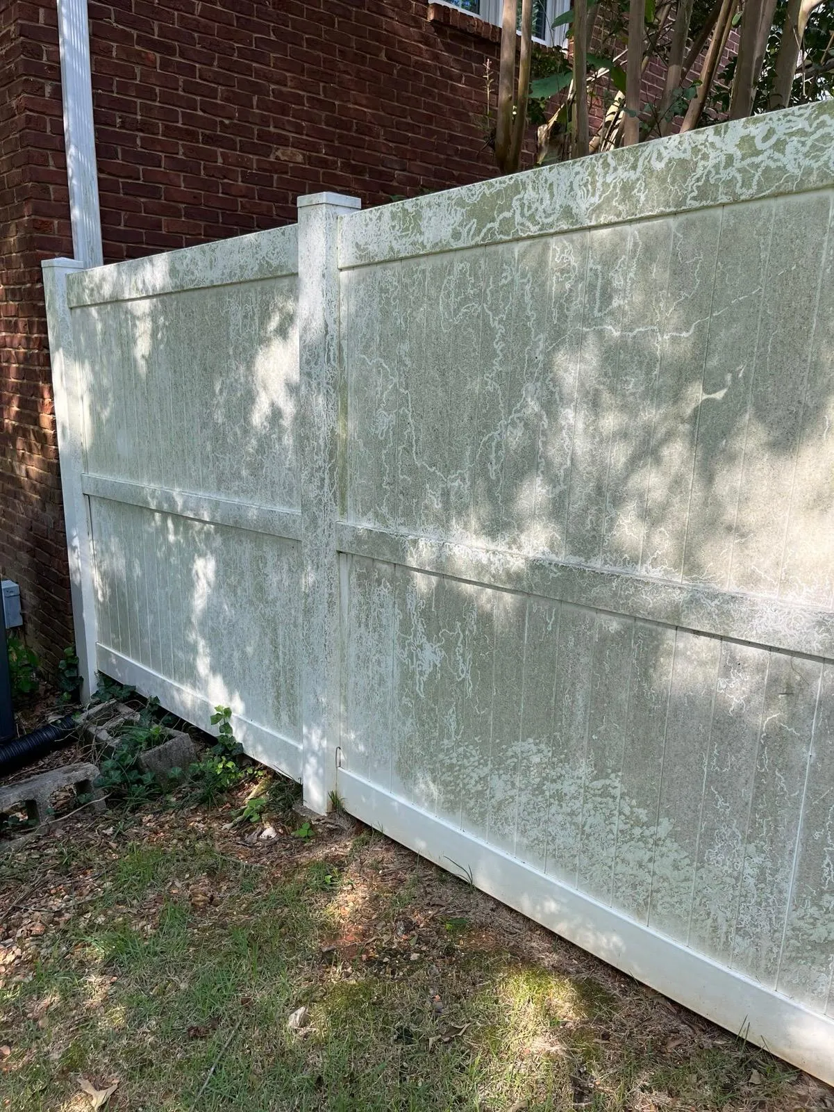 Vinyl privacy fence covered in green algae and mildew before soft washing